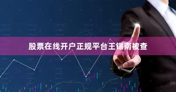 股票在线开户正规平台王锡南被查