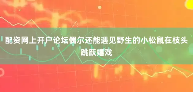 配资网上开户论坛偶尔还能遇见野生的小松鼠在枝头跳跃嬉戏