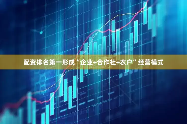 配资排名第一形成“企业+合作社+农户”经营模式