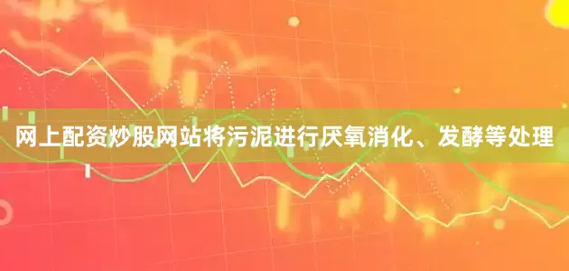 网上配资炒股网站将污泥进行厌氧消化、发酵等处理
