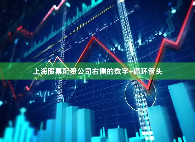 上海股票配资公司右侧的数字+循环箭头